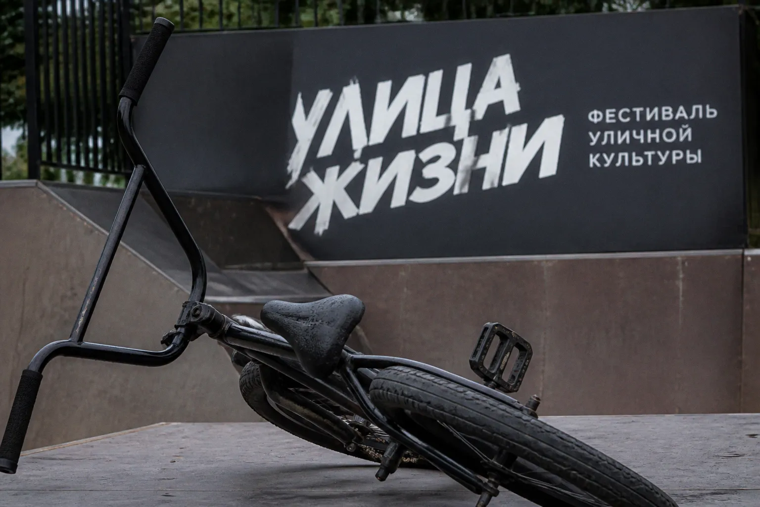 Фестиваль «Улица жизни» в Брянске: как уличная культура становится инструментом воспитания